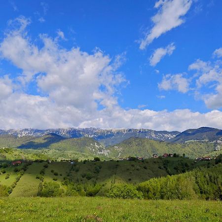 Alpine Escape Studios Magura  Ngoại thất bức ảnh
