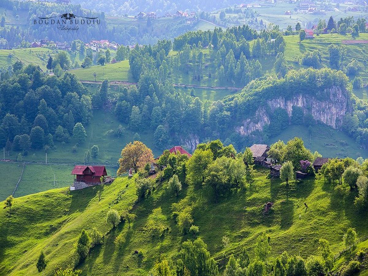 Alpine Escape Studios Magura  Ngoại thất bức ảnh