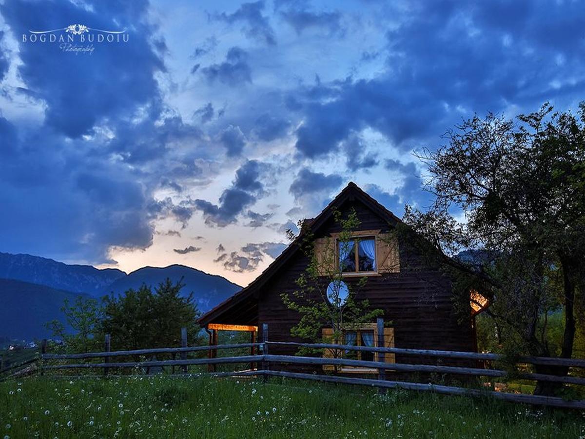 Alpine Escape Studios Magura  Ngoại thất bức ảnh